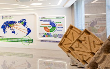 Foldable Pallet Box: Isang Mahalagang Tool para sa Pagpapabuti ng Kahusayan sa Pag-iimbak at Pagbawas ng mga Gastos sa Logistics