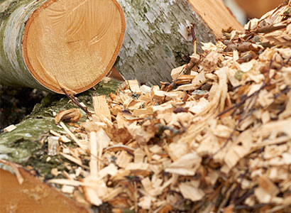 Ronsun Import & Export Co., Ltd.